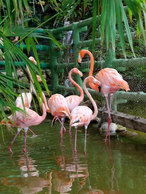 Experiencias Hoteles Cafam Experiencias Hoteles Cafam