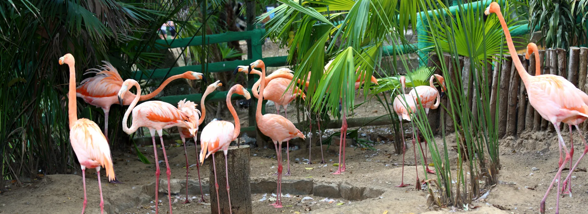 Hoteles Cafam  Hoteles Cafam