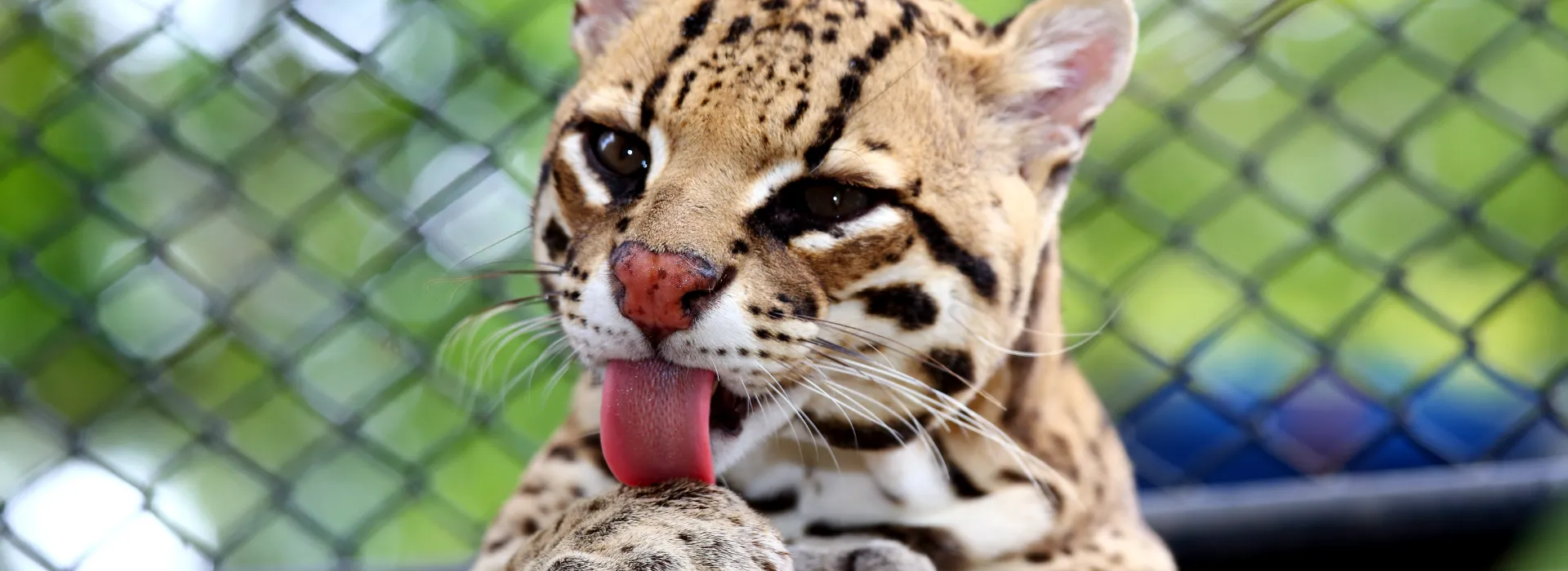 Hoteles Cafam  Hoteles Cafam